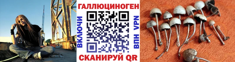 Галлюциногенные грибы Magic Shrooms  Купить где  Гороховец 